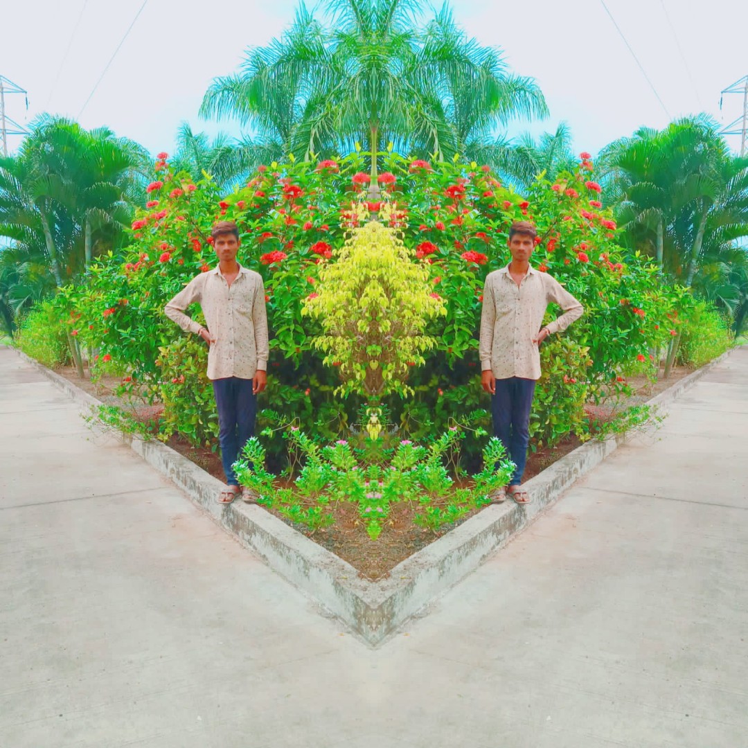 description