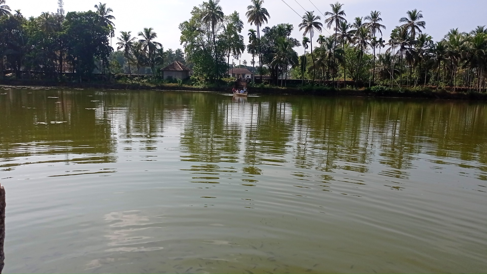 description