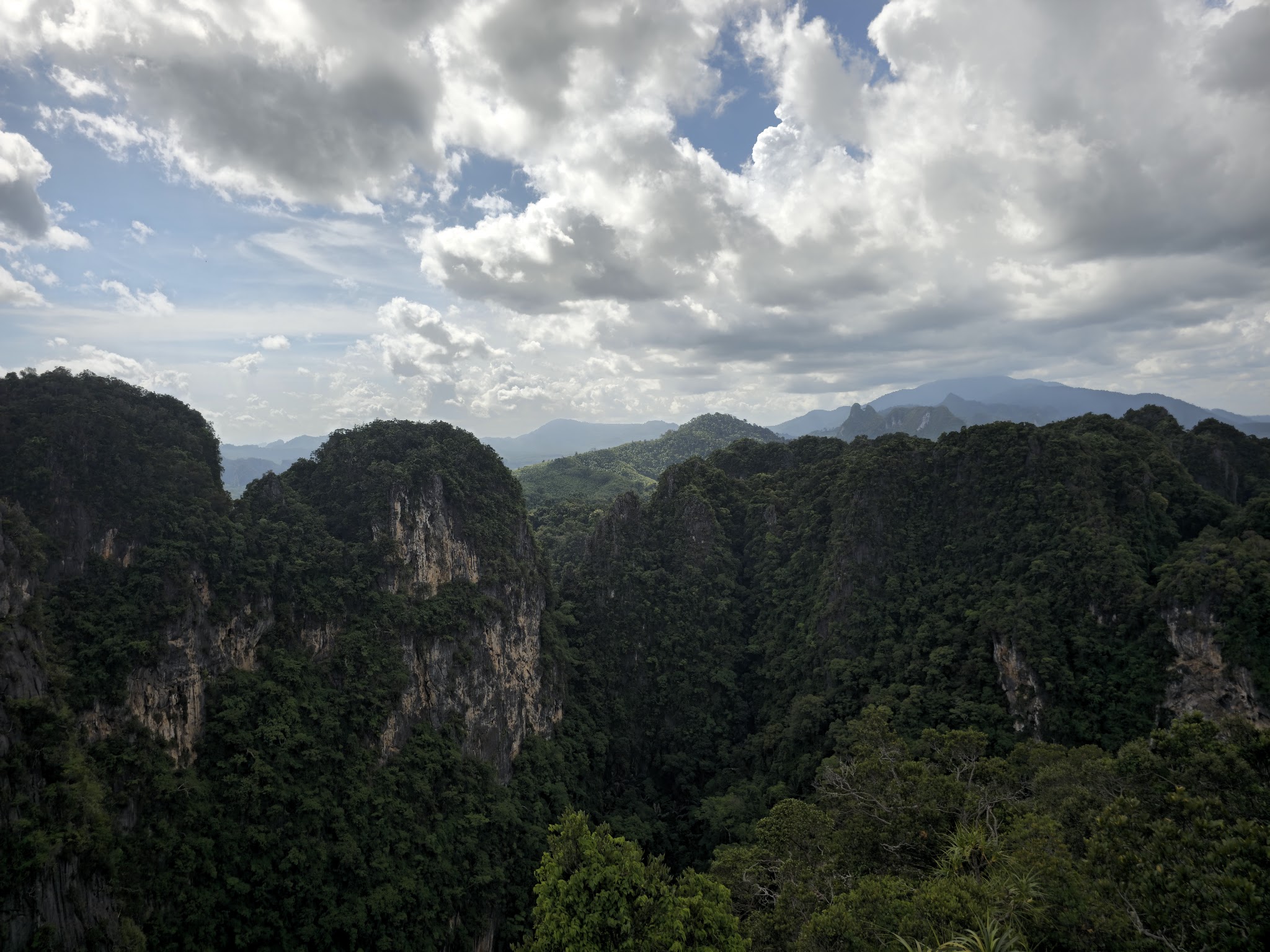 description
