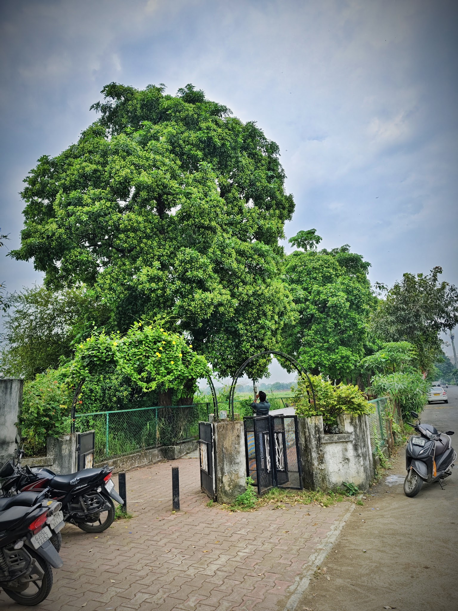 description