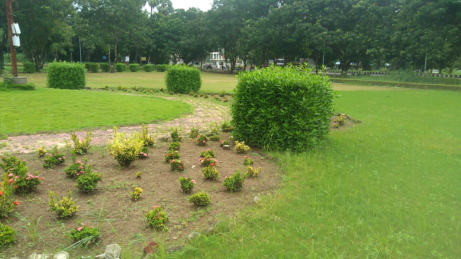 description