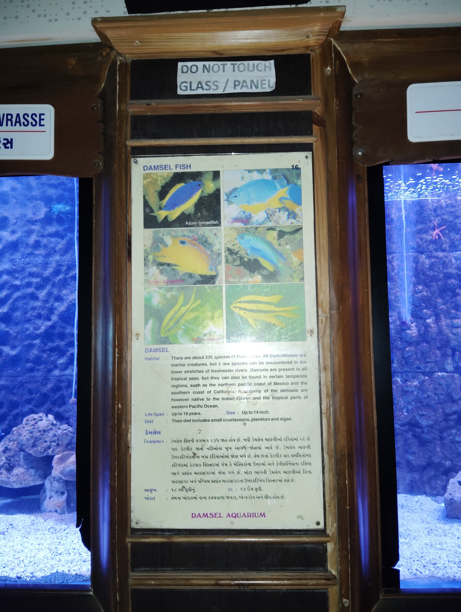 description