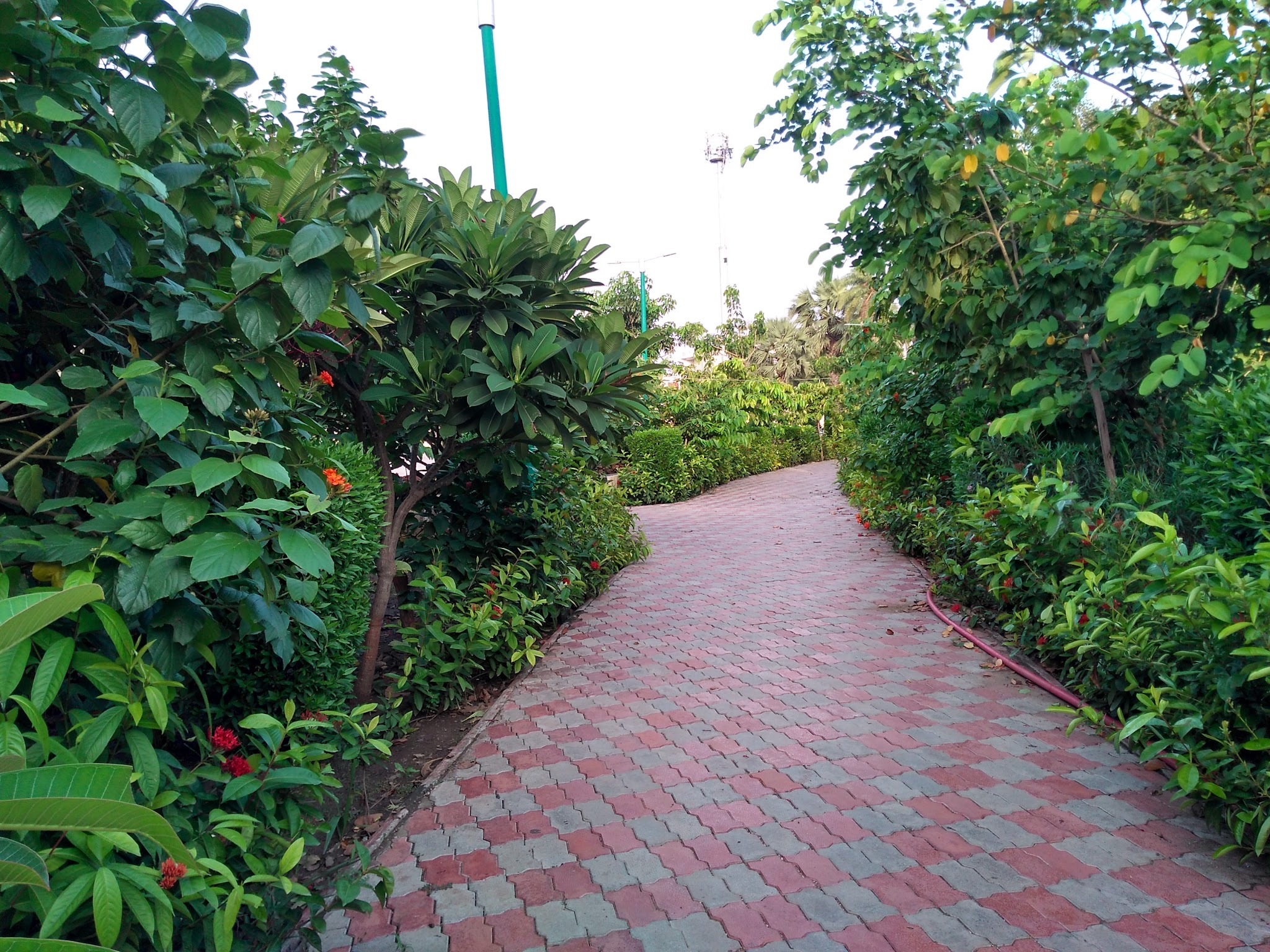 description