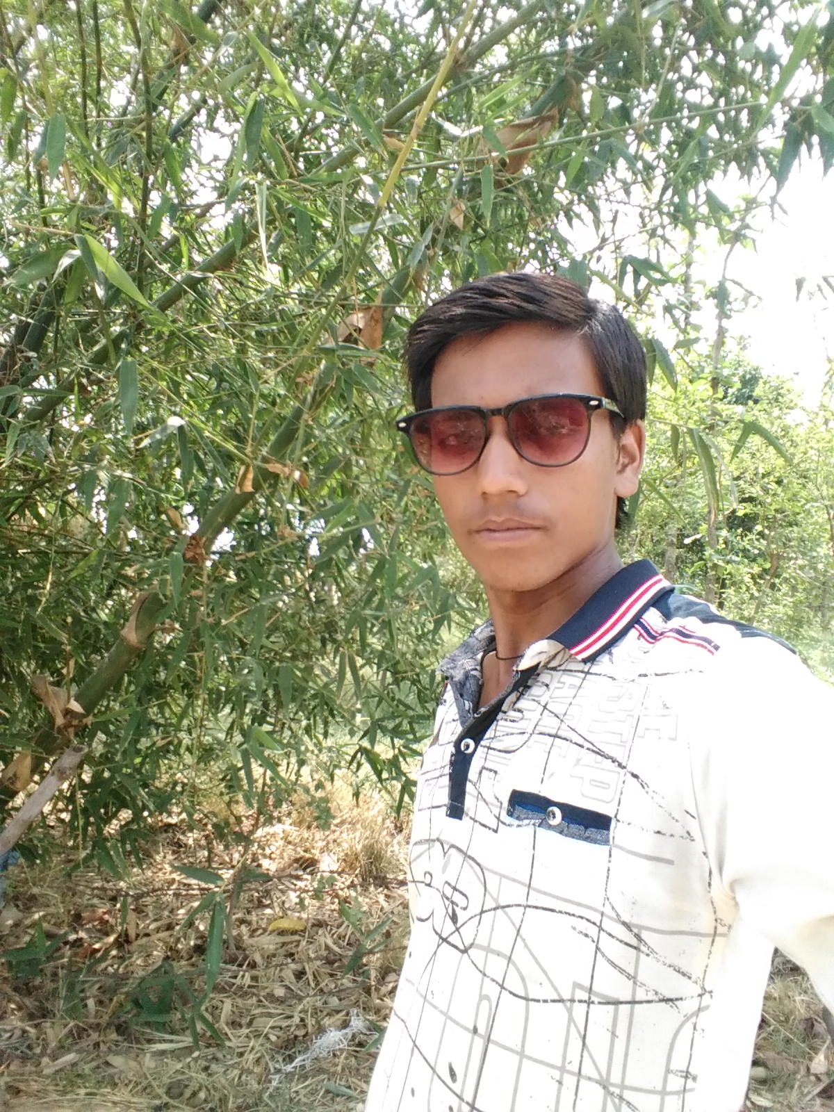 description