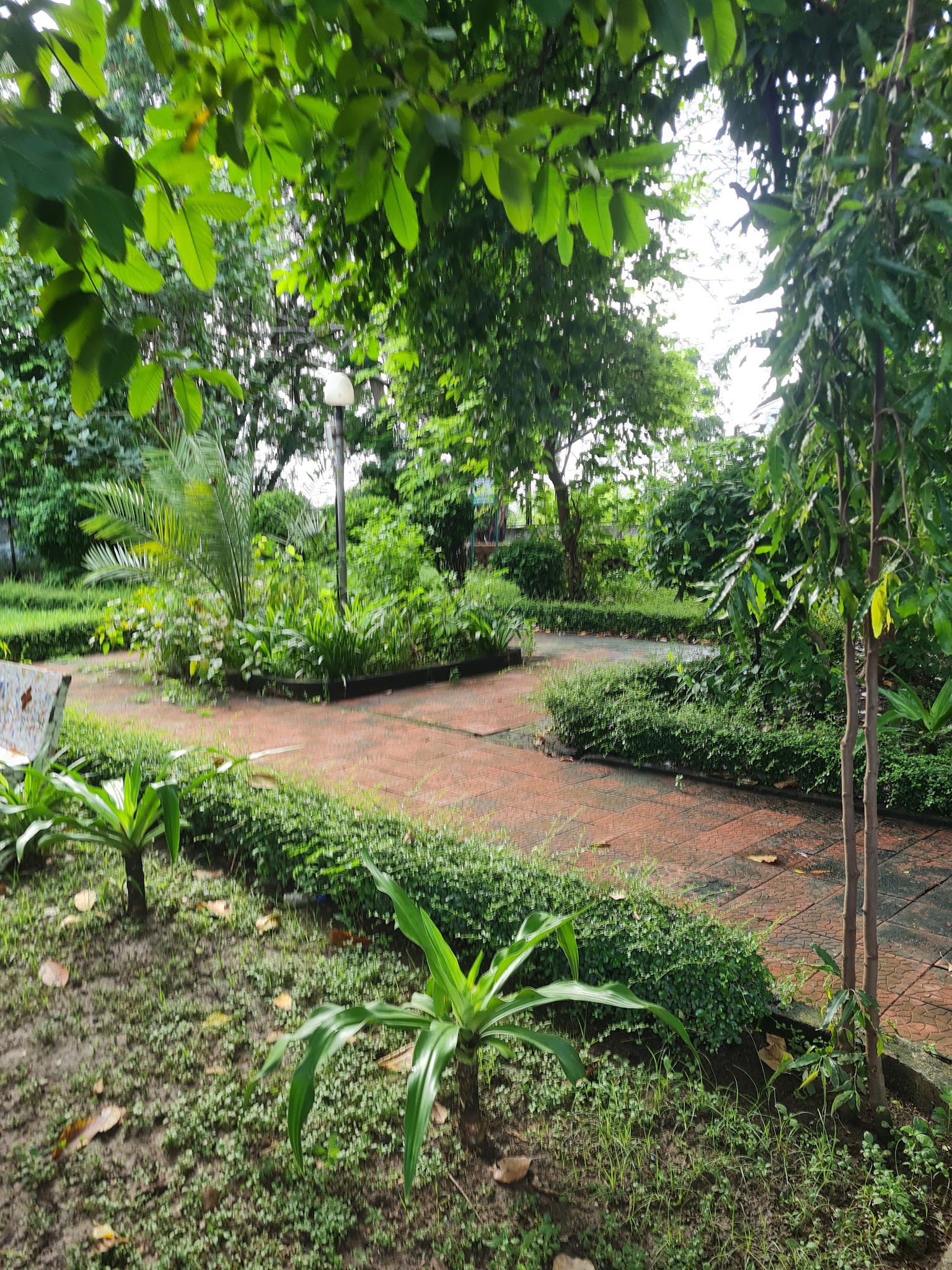 description