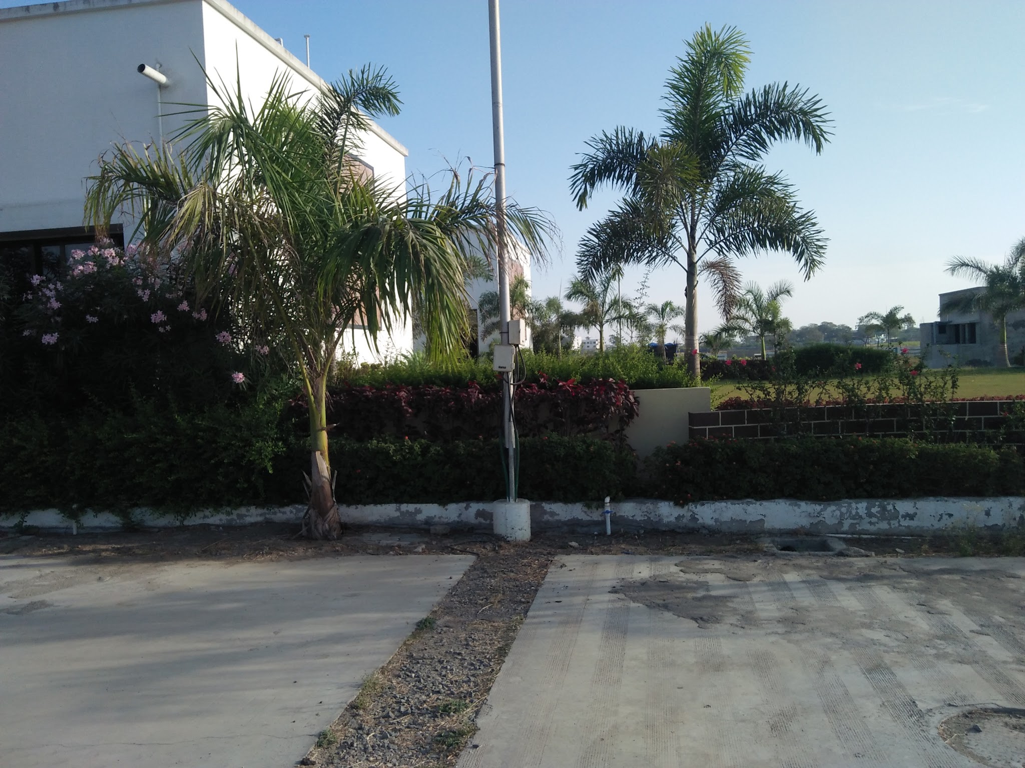 description