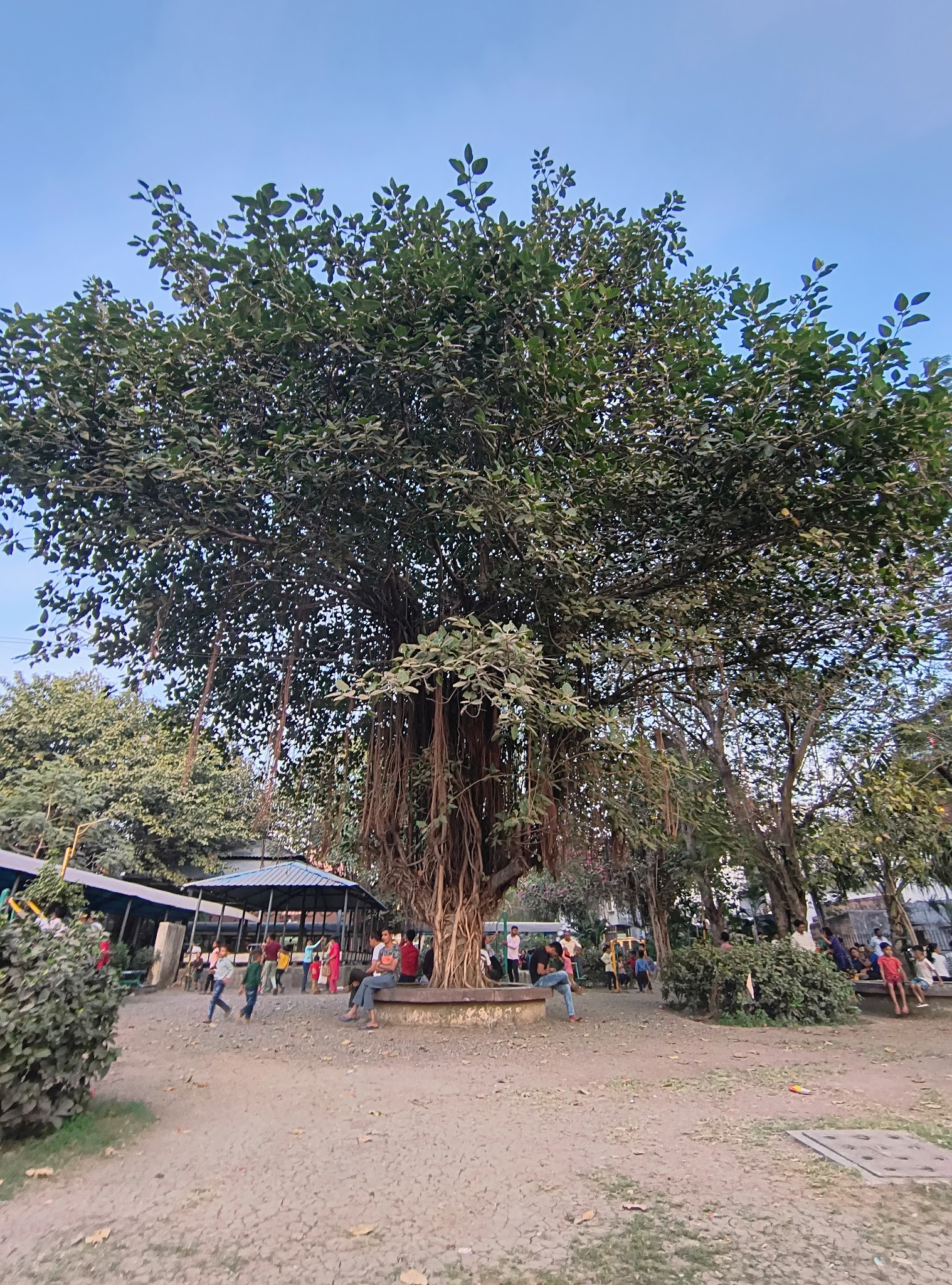 description