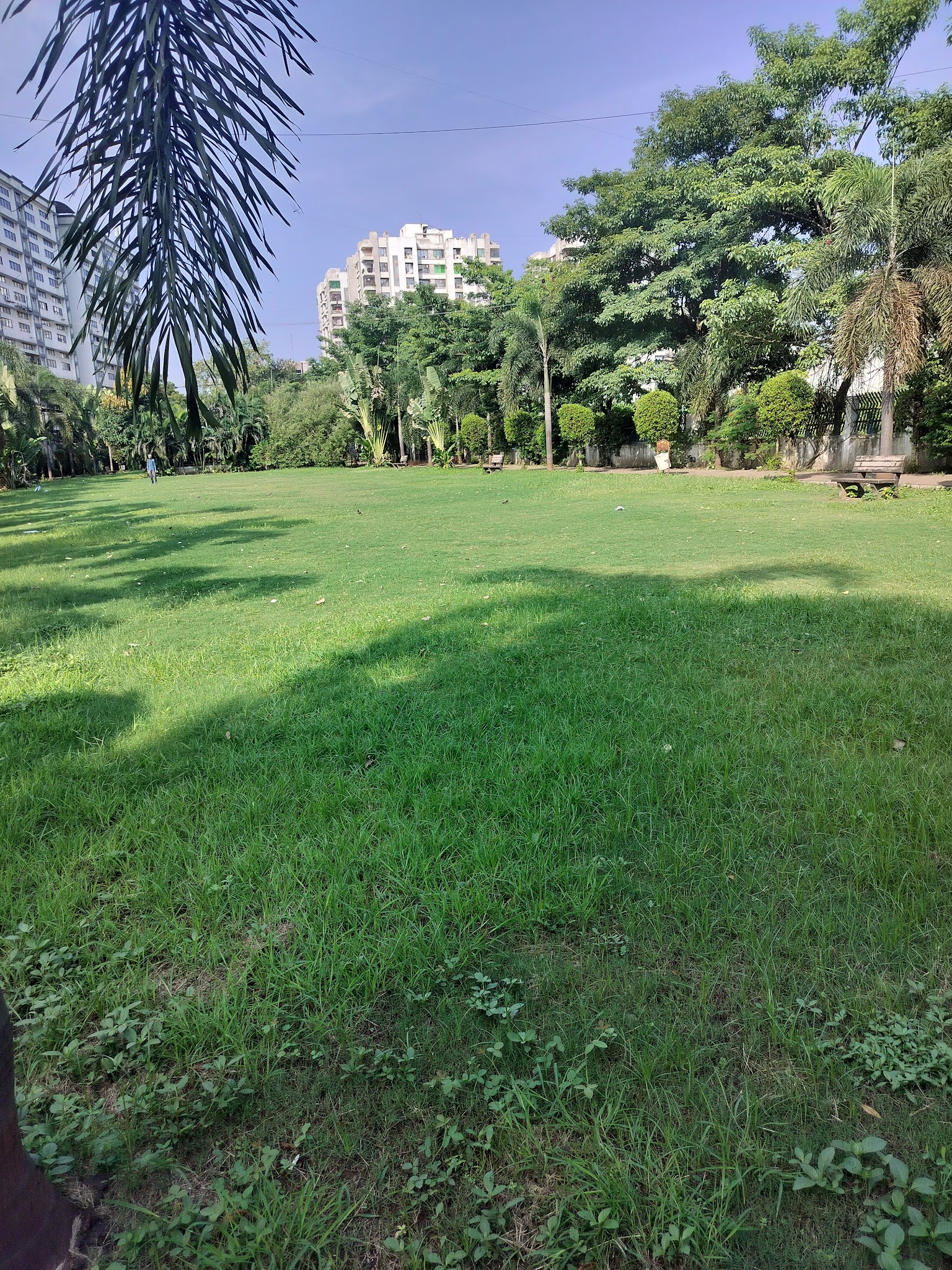 description