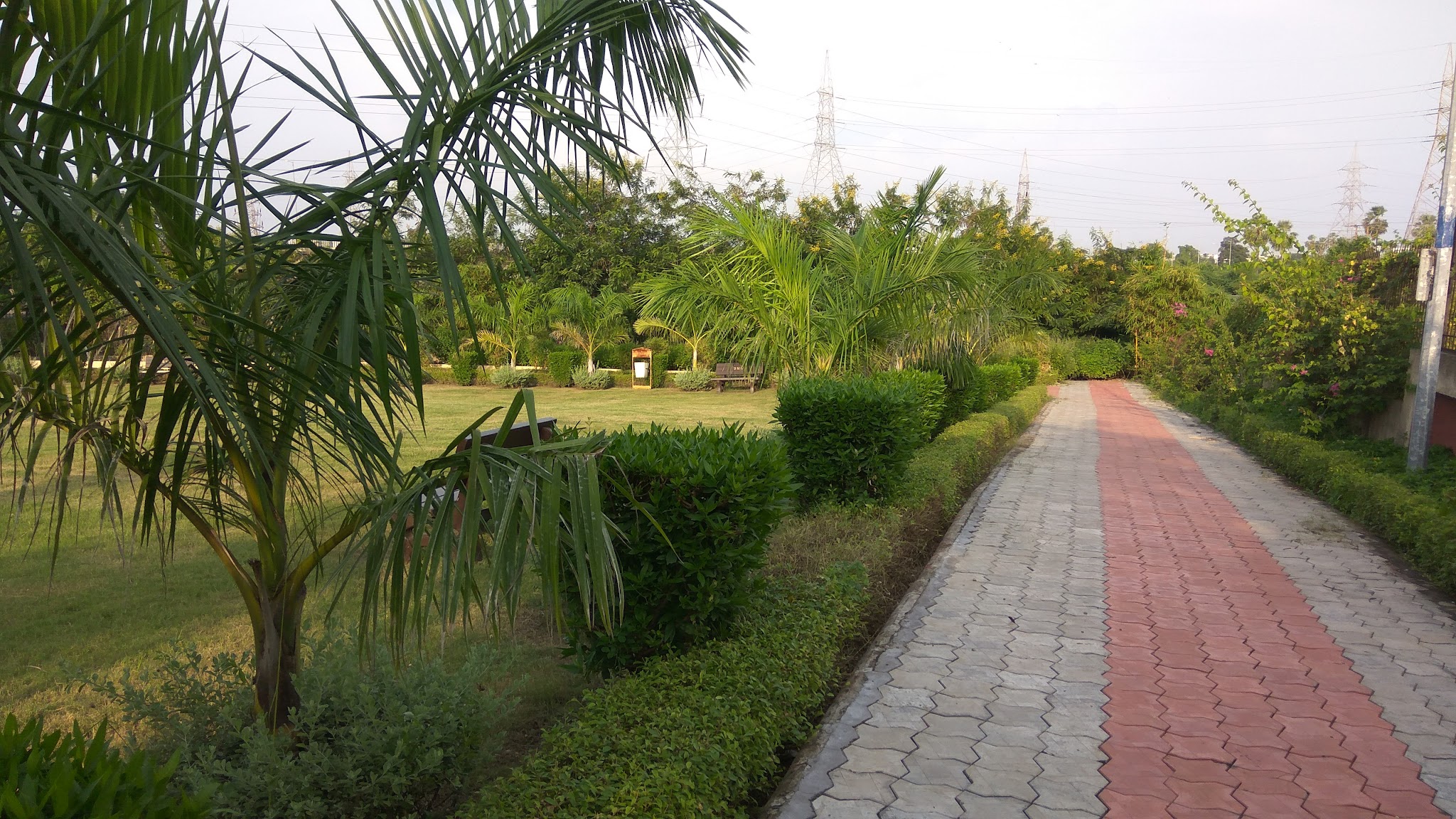 description