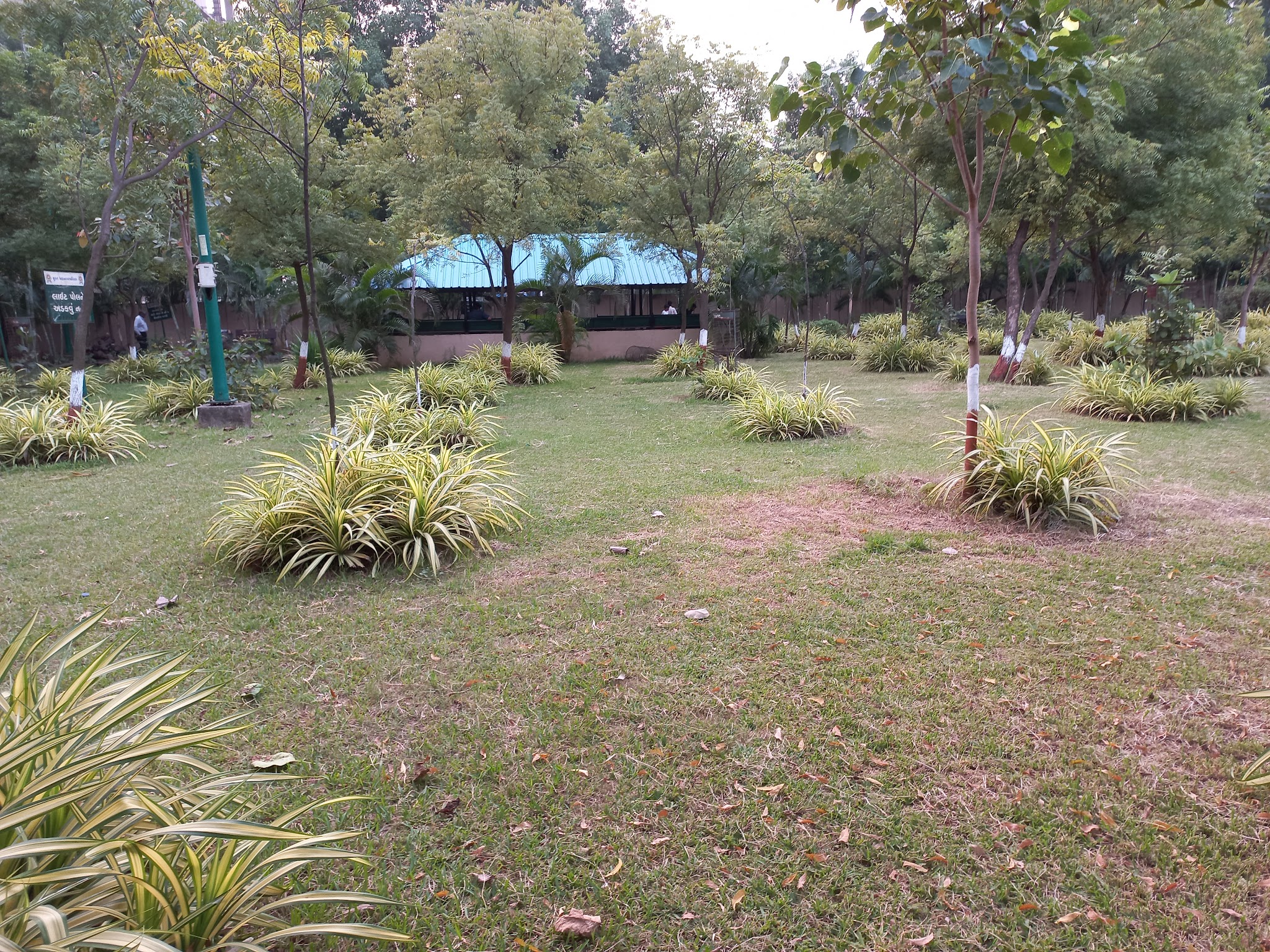 description