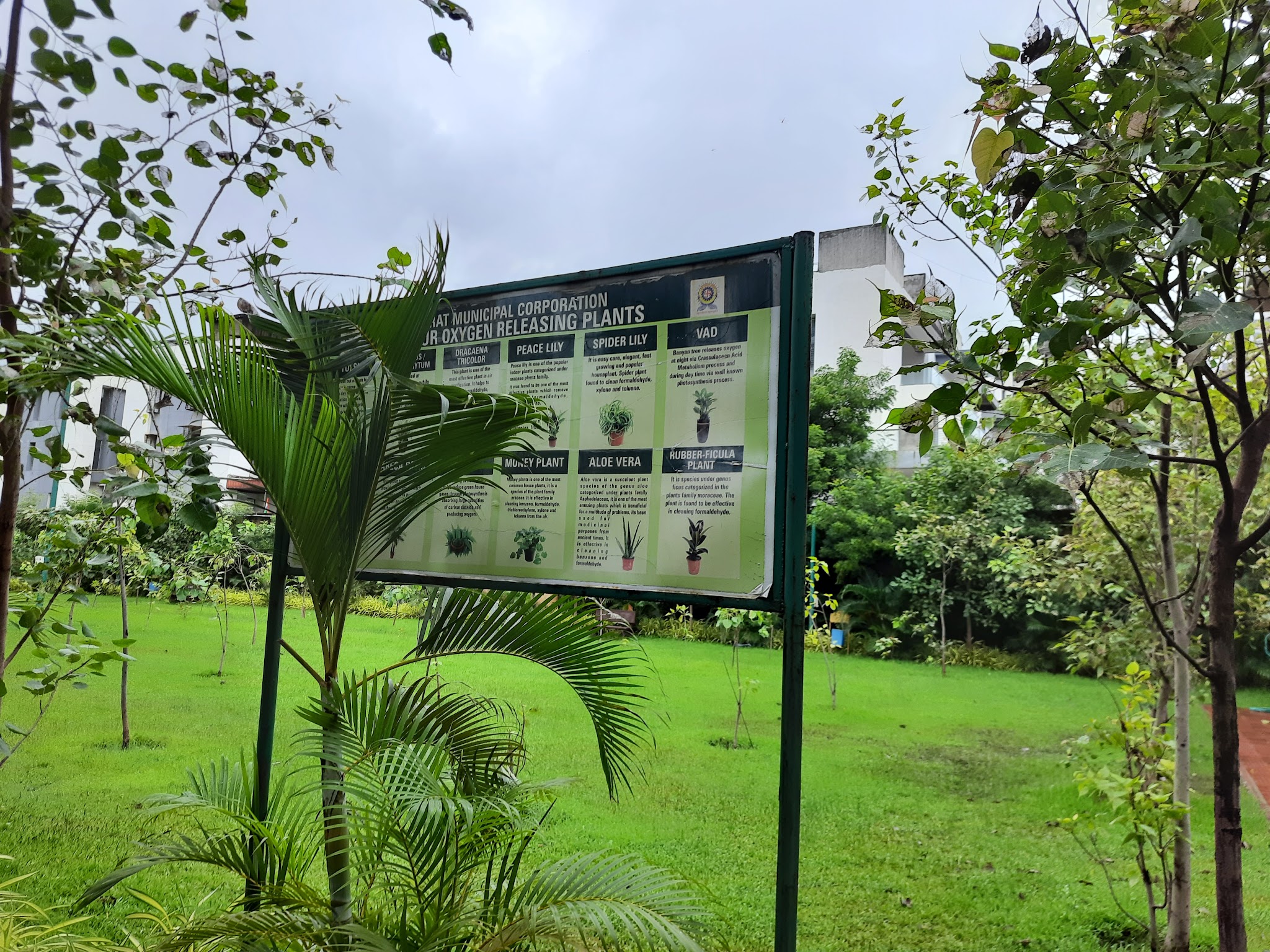 description