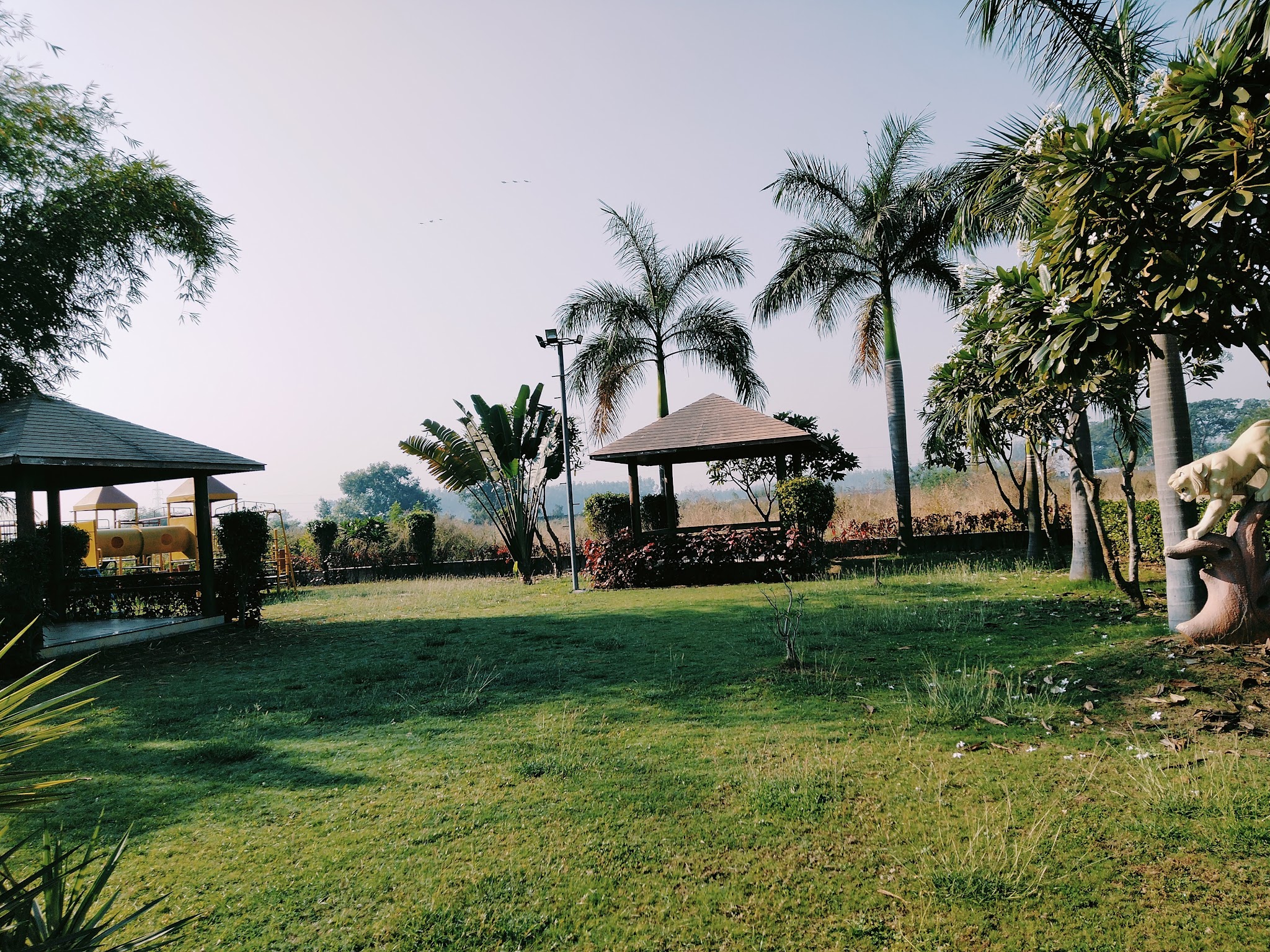 description