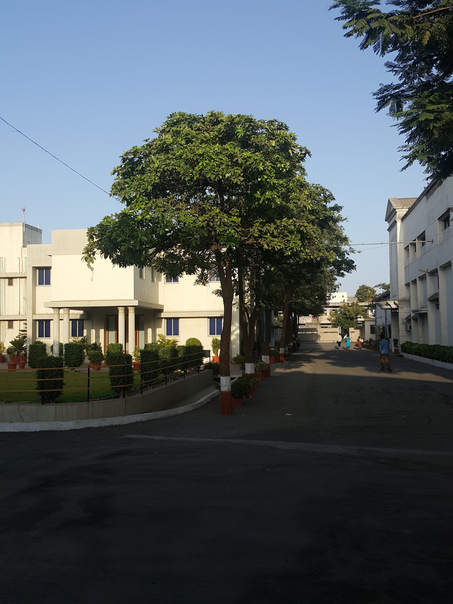 description