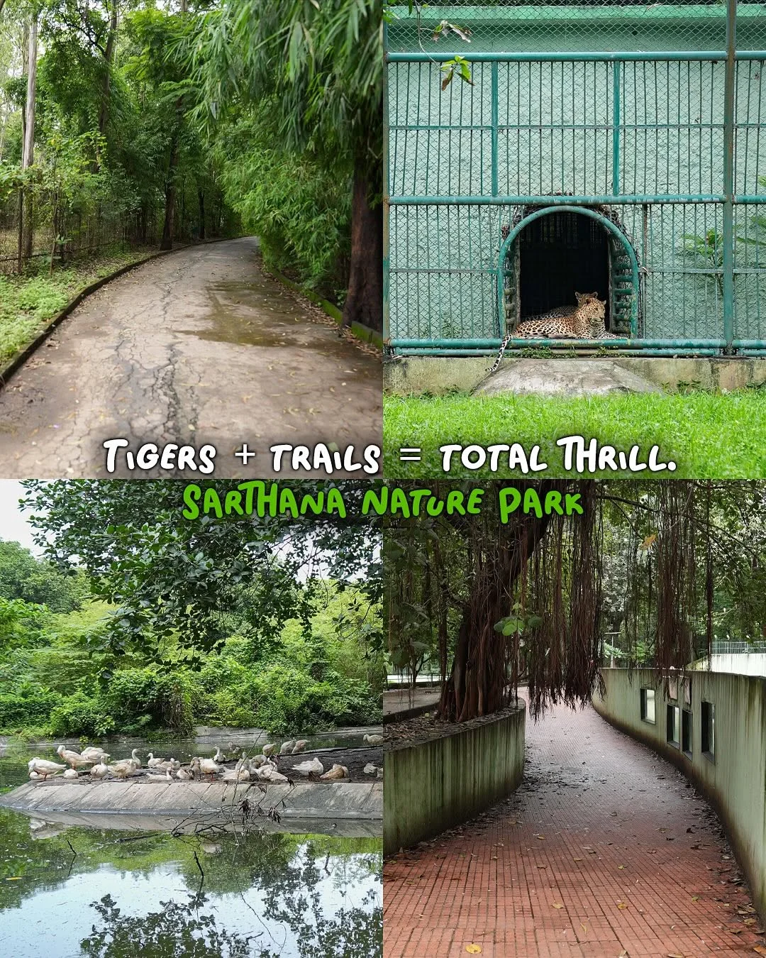 Don't Miss Your Trip to Surat without these 12 Things — photo 4