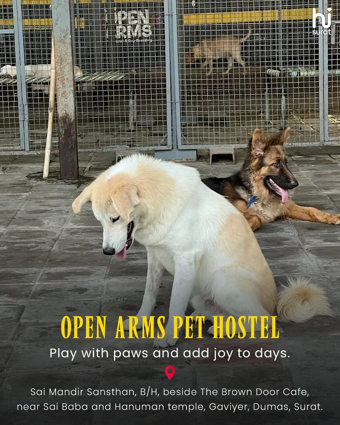 Fun Moments To Share With Your Sakhi In Surat — photo 2