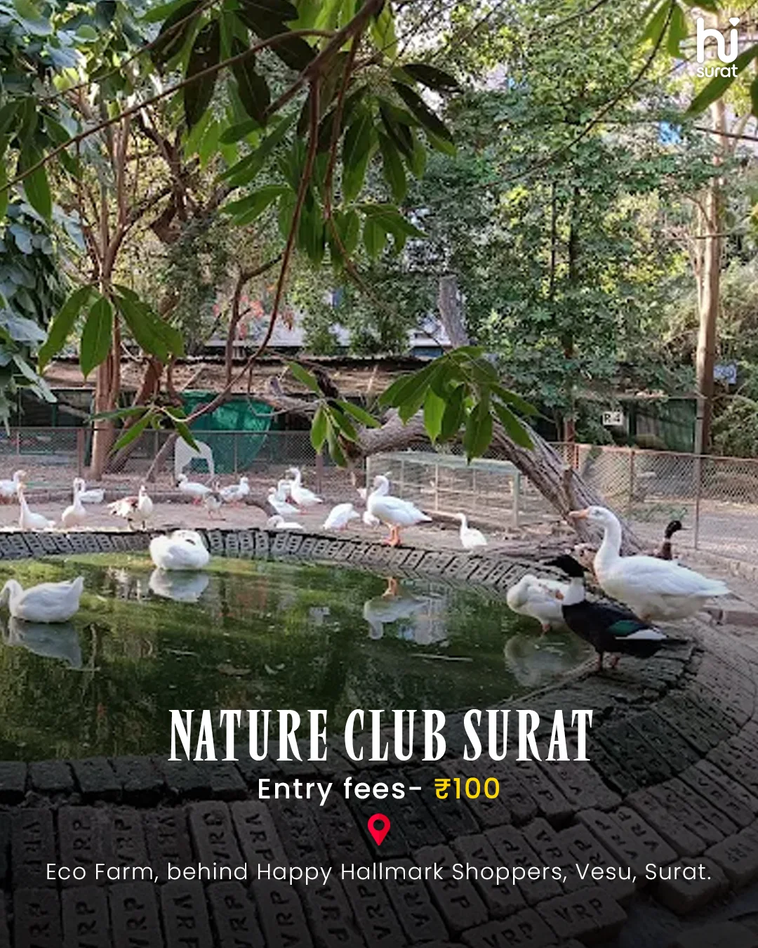 Must Try Fun Things To Do In Surat Under Rs.500 — photo 6