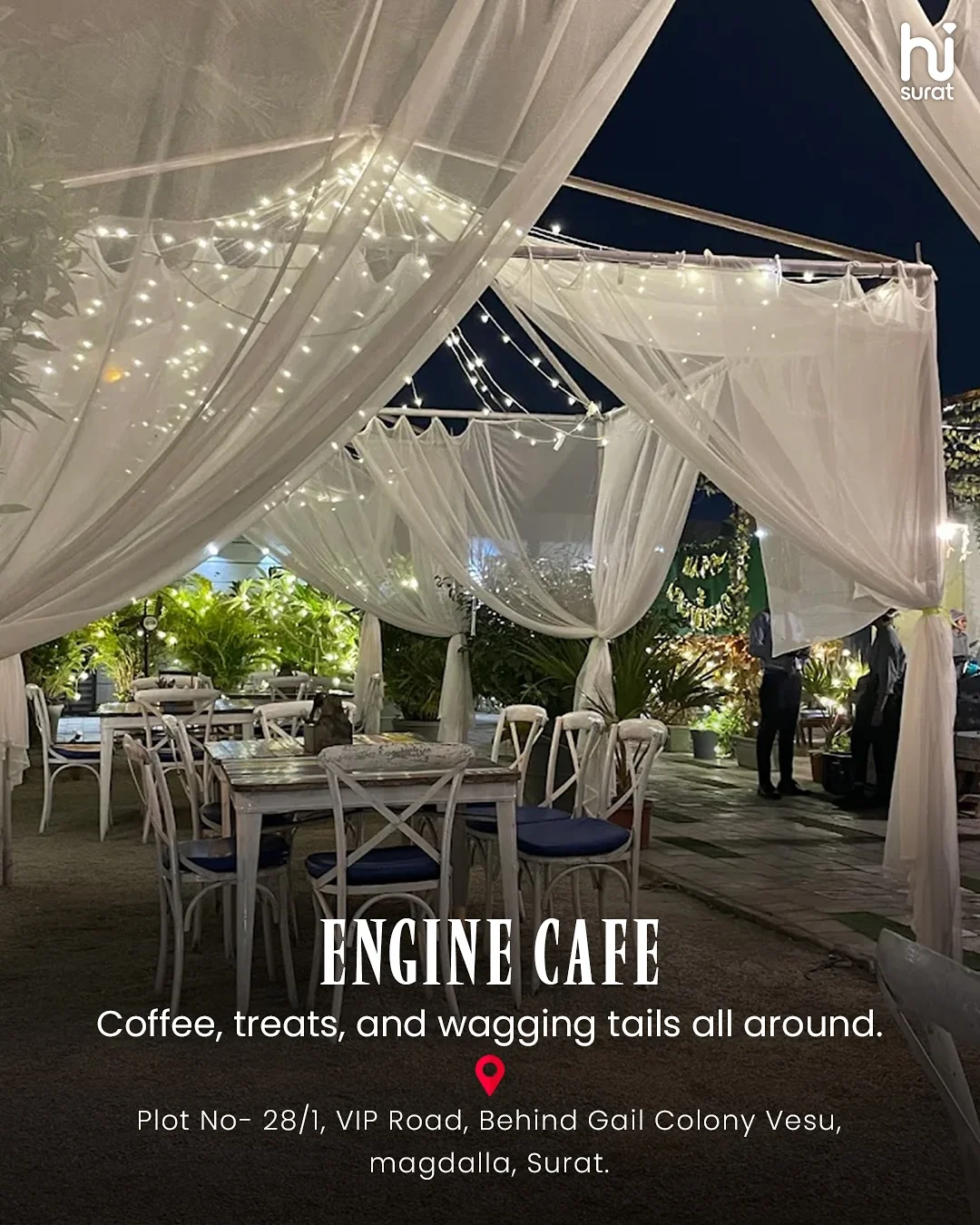 Pet-Friendly Cafe in Surat — photo 2