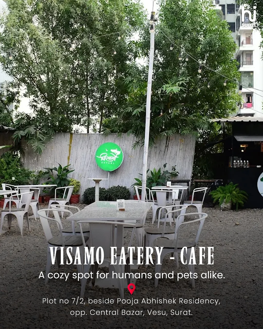Pet-Friendly Cafe in Surat — photo 3