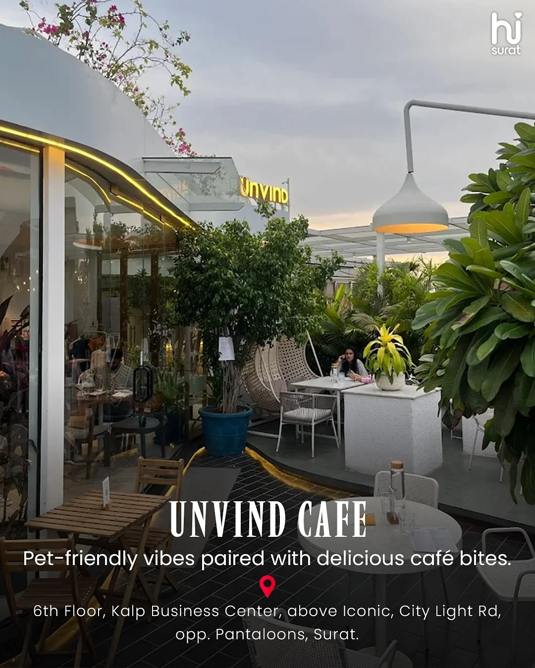 Pet-Friendly Cafe in Surat — photo 5
