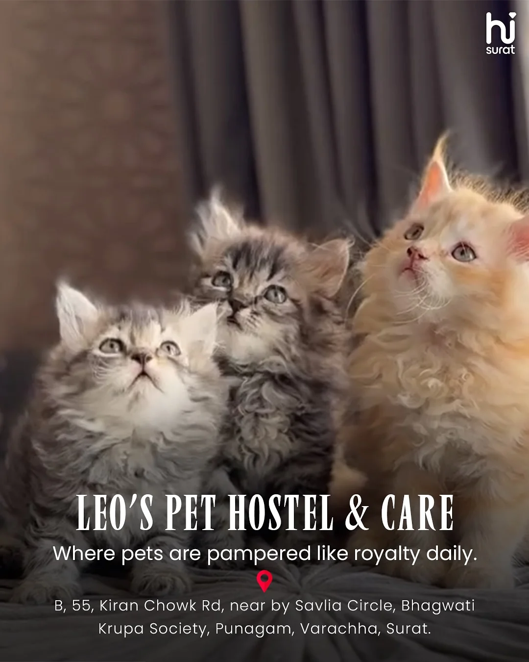 Pet Hostels in Surat — photo 2
