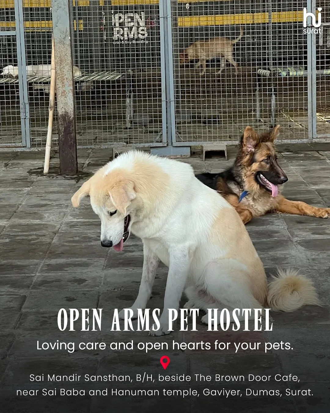 Pet Hostels in Surat — photo 6