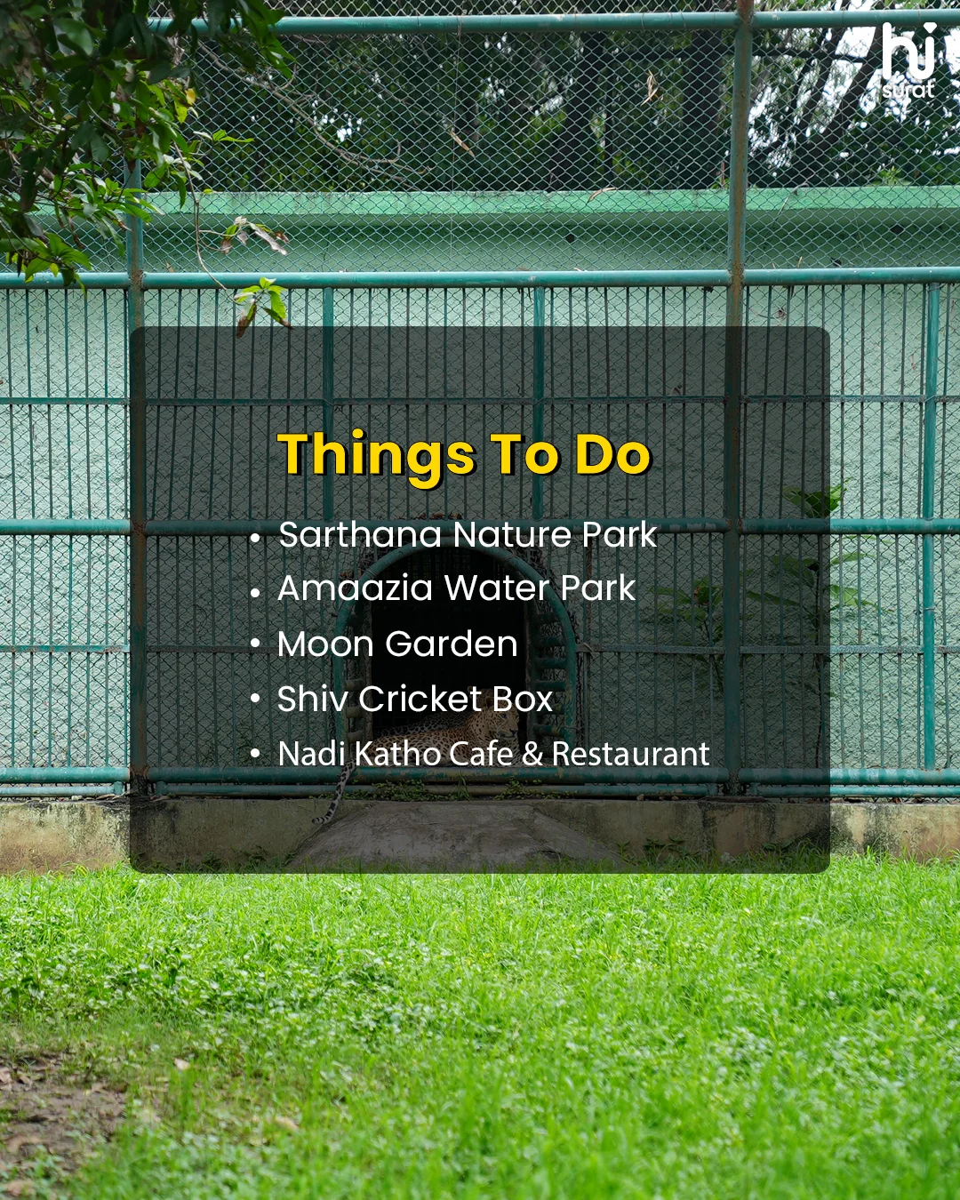Ultimate Guide Of Varachha: Explore, Eat & Fun — photo 7