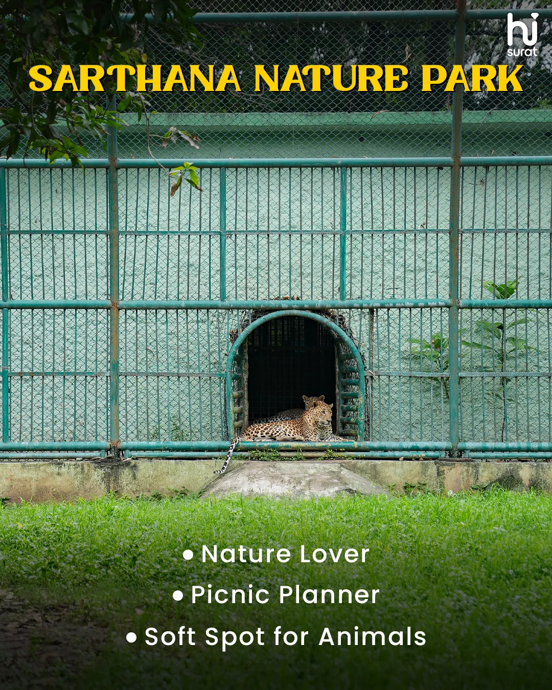 What Your Fav Surat Spot  — photo 5