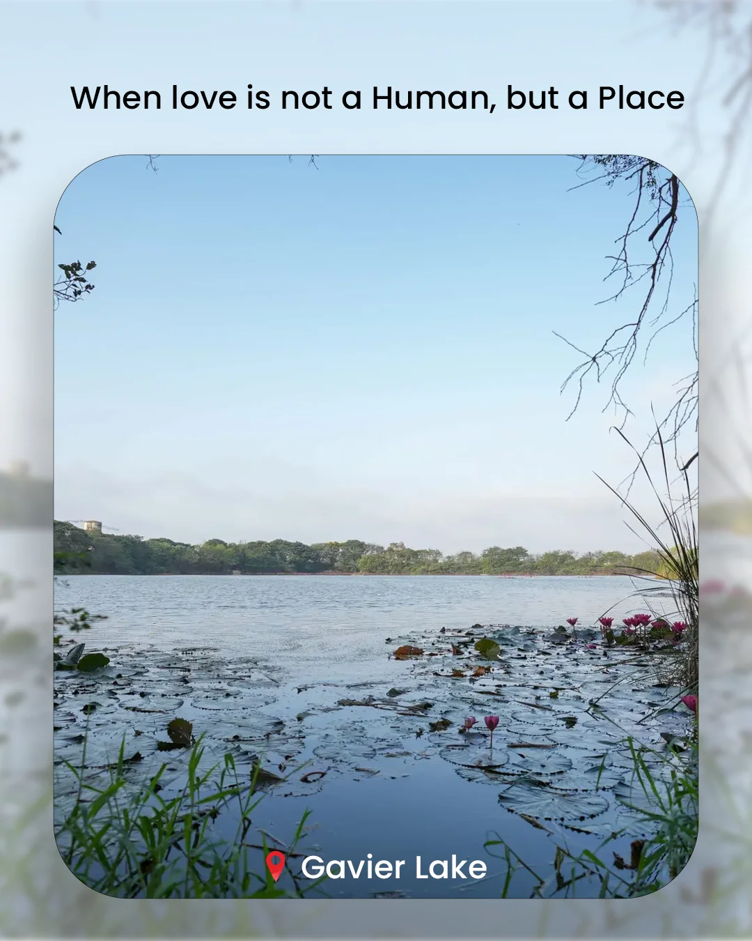 When Love Is Not a Human, But a Place — photo 2