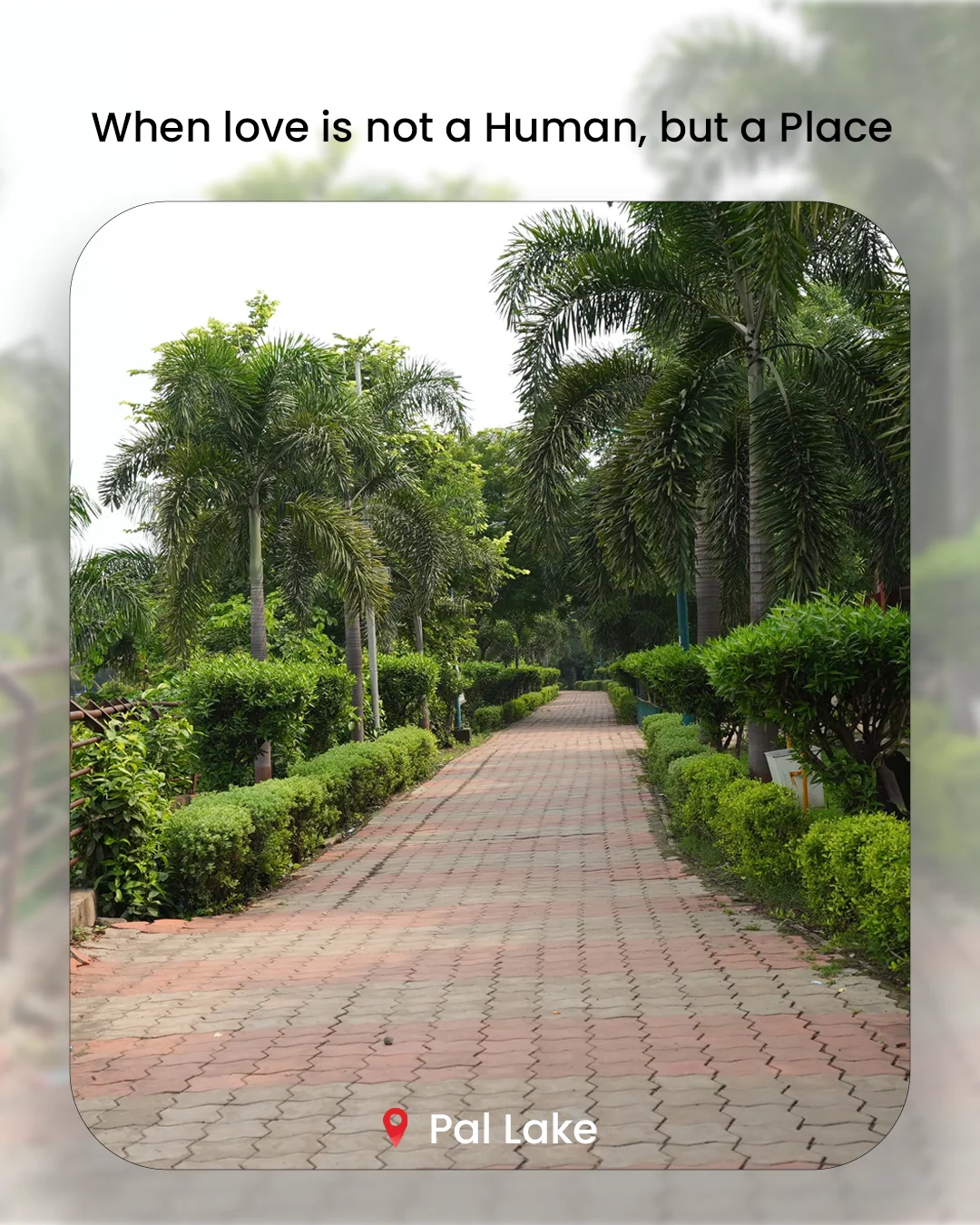 When Love Is Not a Human, But a Place — photo 3