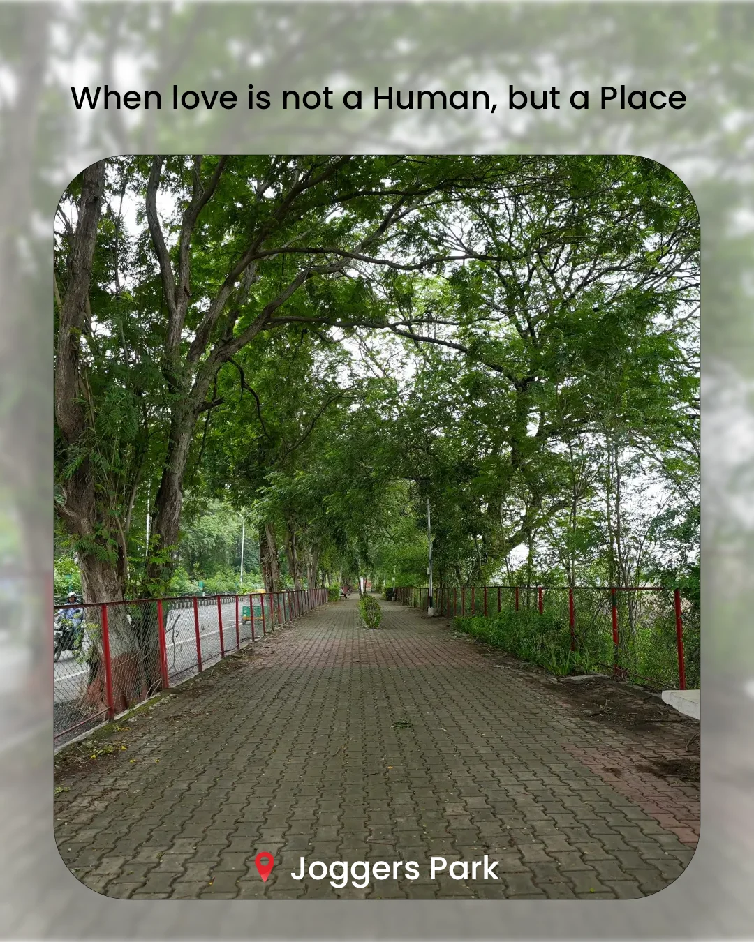 When Love Is Not a Human, But a Place — photo 4