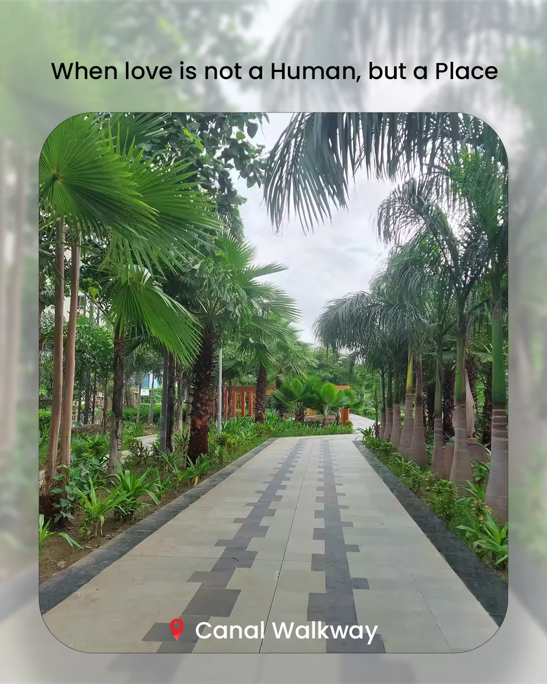 When Love Is Not a Human, But a Place — photo 6