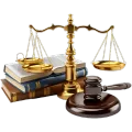 Advocate & Lawyer