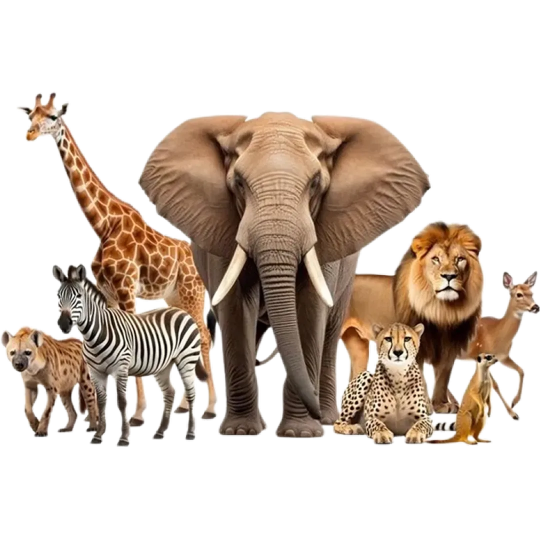 Aquarium and Zoo