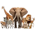 Aquarium and Zoo