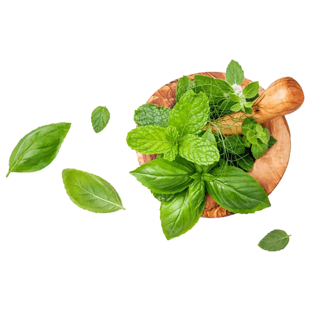 Ayurvedic clinic