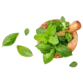 Ayurvedic clinic
