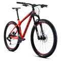 Bicycle Dealer