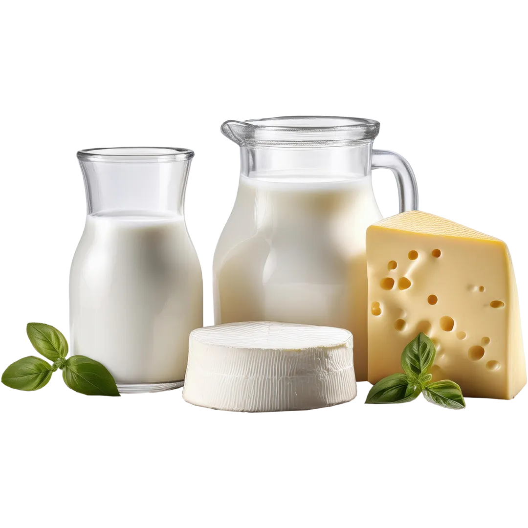 Dairy Product