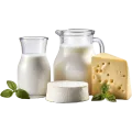 Dairy Product