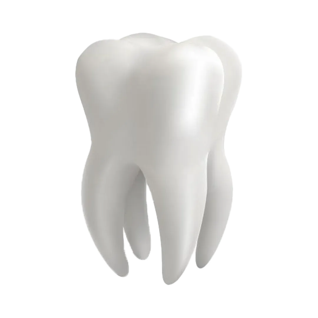 Dental Clinic
