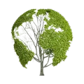 Environmental Services
