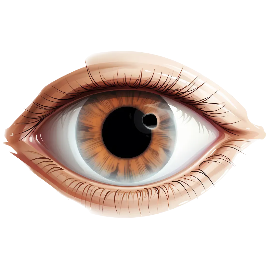 Eye Hospitals
