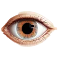 Eye Hospitals