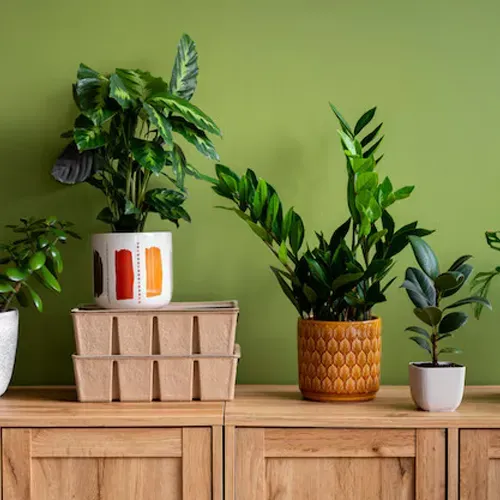 Home & Office Decor