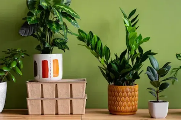 Home & Office Decor