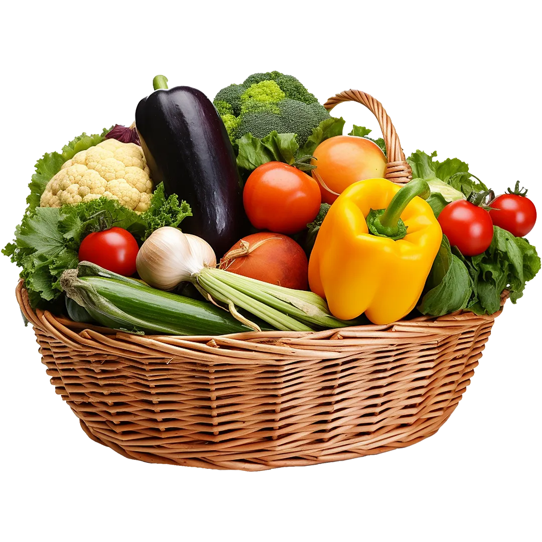 Organic Food Store