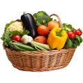 Organic Food Store