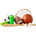 Sports Wholesaler