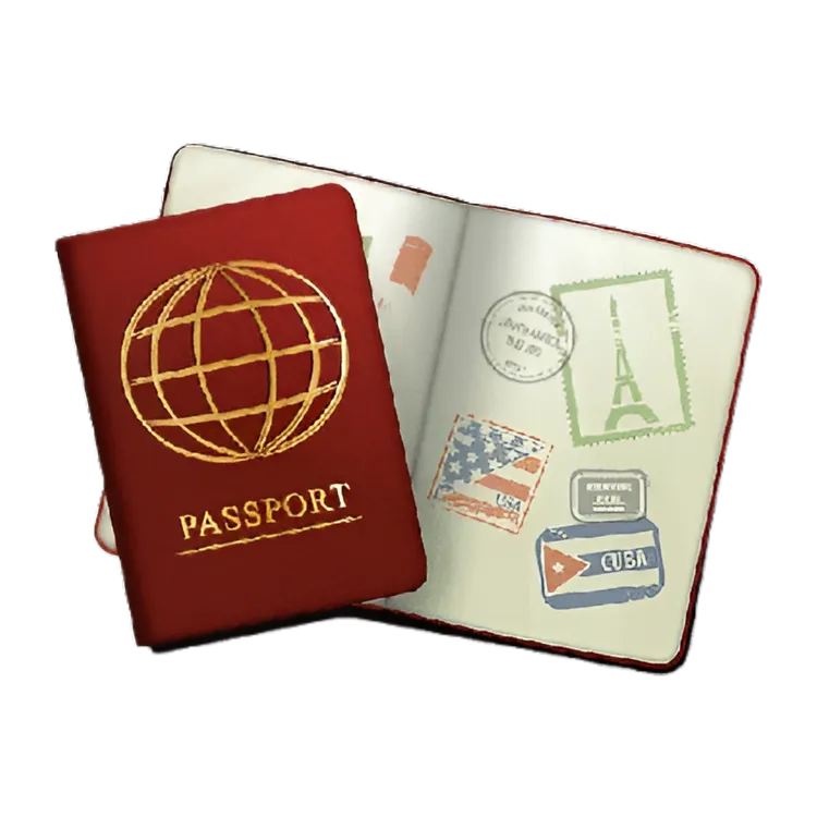 Visa consultant