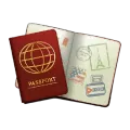 Visa consultant